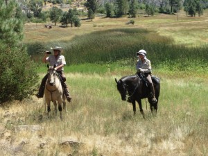 Cuyamaca 2012 173